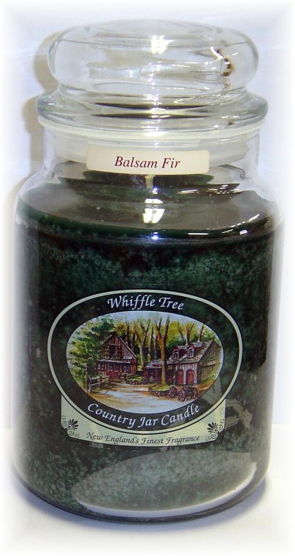 Balsam Fir
