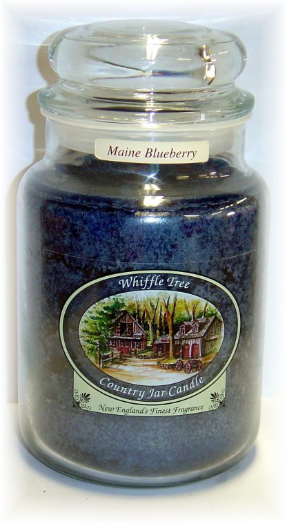 Maine Blueberry